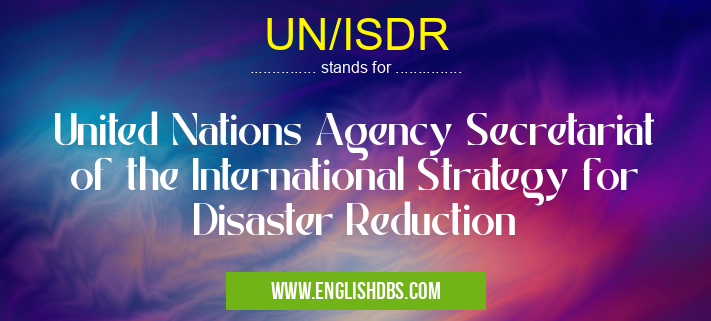 UN/ISDR