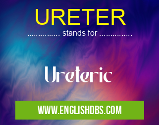 URETER