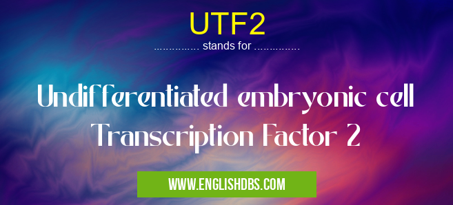 UTF2