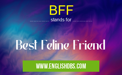 BFF