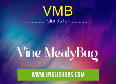 VMB