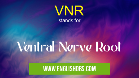 VNR