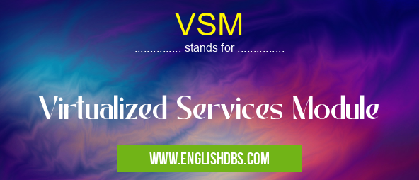 VSM