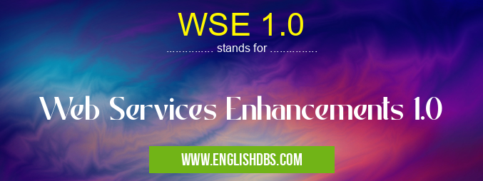 WSE 1.0