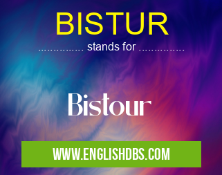 BISTUR