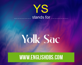 YS