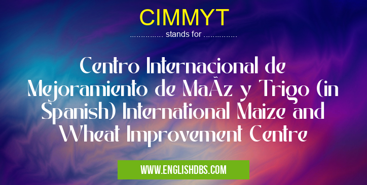 CIMMYT