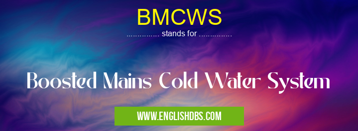 BMCWS