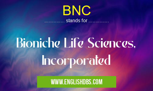 BNC