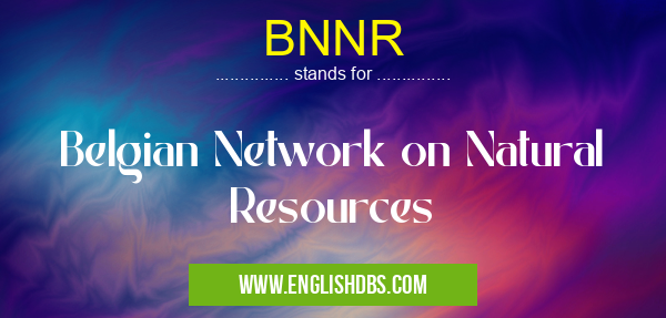 BNNR