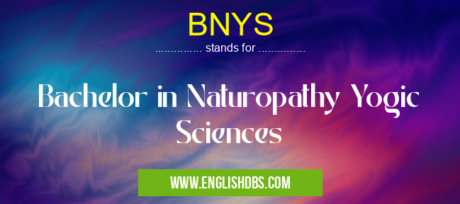 BNYS