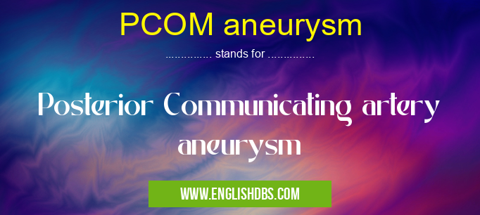 PCOM aneurysm