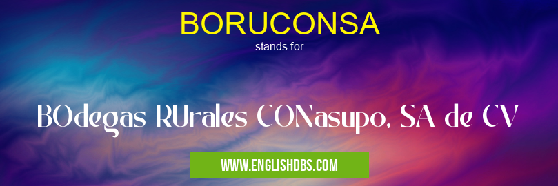 BORUCONSA