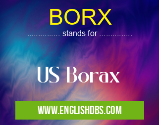 BORX