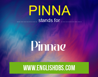 PINNA