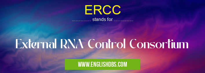 ERCC